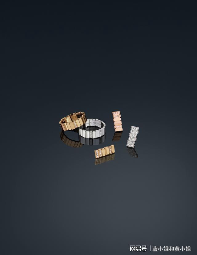 R 珠宝 瑰丽自然与高级订制开元棋牌appGEM DIO(图4)